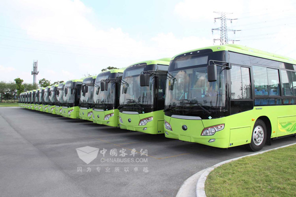 代表建議：免收客車通行費鼓勵公交出行