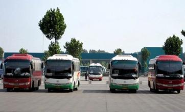 山東：淄博市開展旅游包車客運市場秩序整治專項活動