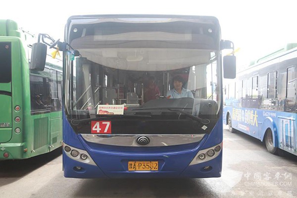 河南:鄭州公交愛心車廂 車內裝飾鮮花為考生減壓