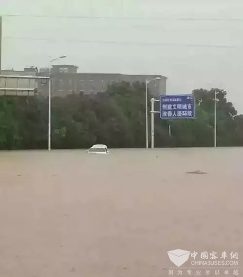 為何都在泡水，你卻能涉水而行！