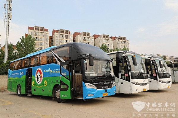 蘇州金龍 旅游客車 睿星車型 新川藏運業