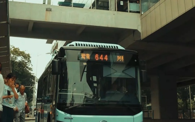 重慶公交644路 藏著一座城市的“溫度”