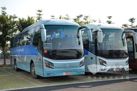 廈門金旅為亞運會接待服務用車保駕護航