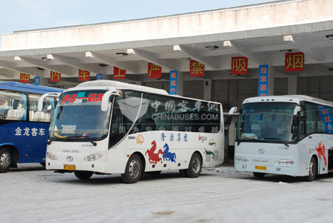在伊春客運市場，許多車主都選擇用大金龍的車