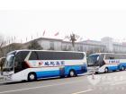 北京街頭雄壯威武的“龍威”車隊(duì)