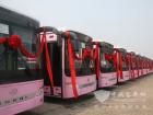 3000輛安凱校車即將遠赴沙特