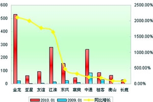 2010年1月小型客車銷售增長TOP10