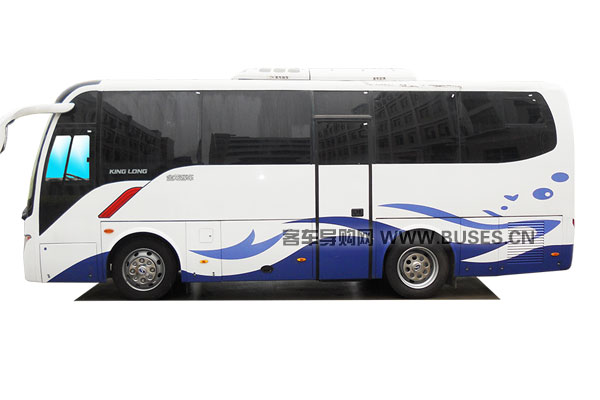 金龍XMQ5110XYL2醫療車（柴油國五2-9座）