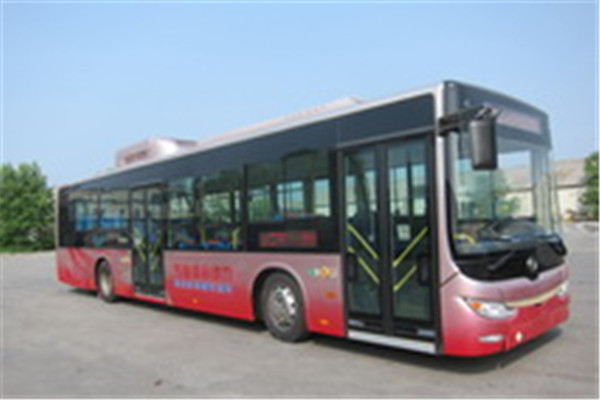 黃海DD6129CHEV6N公交車（LNG/電混動(dòng)國(guó)五18-42座）