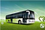 亞星JS6127GHBEV公交車（純電動20-46座）