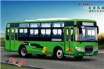 友誼ZGT6852NV公交車（天然氣國五18-37座）