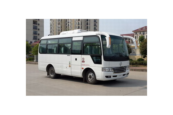東風(fēng)DFH6600A客車（柴油國(guó)五10-19座）