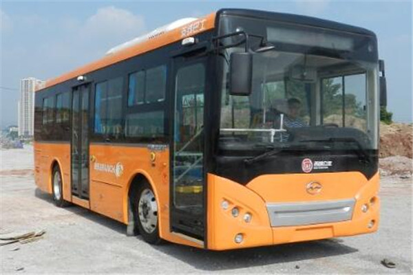 五洲龍F(tuán)DG6853EVG2公交車（純電動(dòng)14-23座）